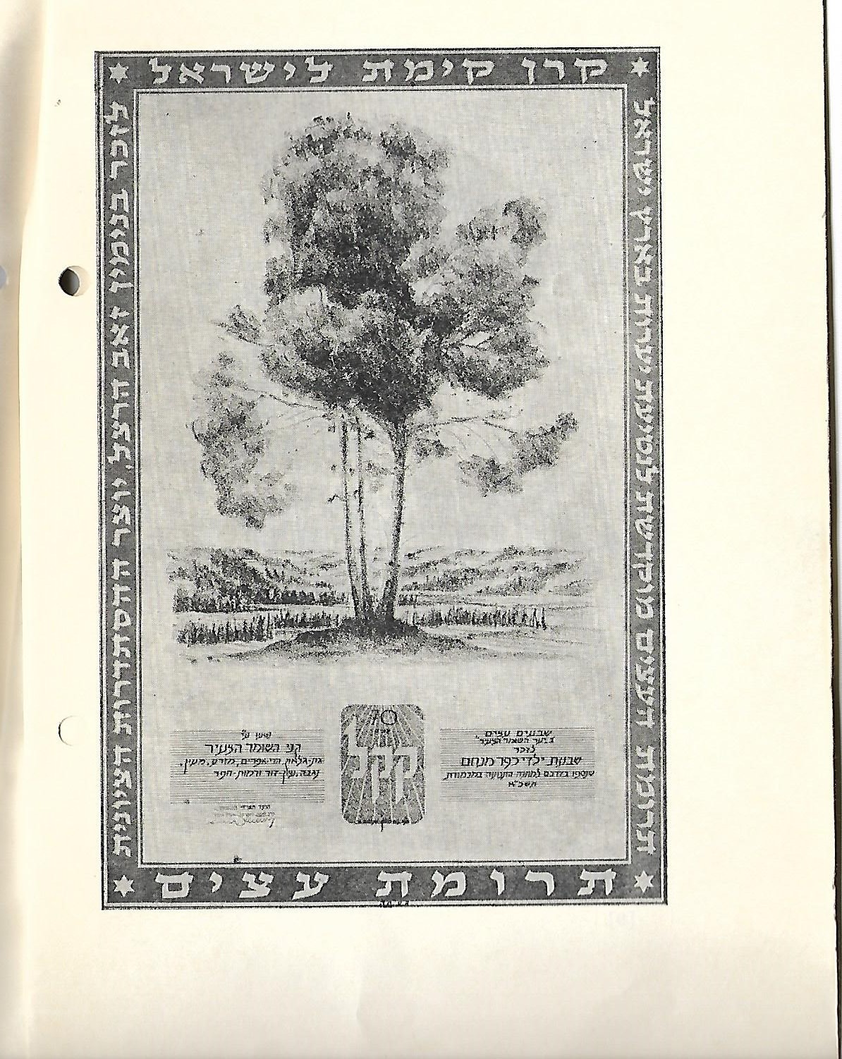 15703 -חוברת.jpg