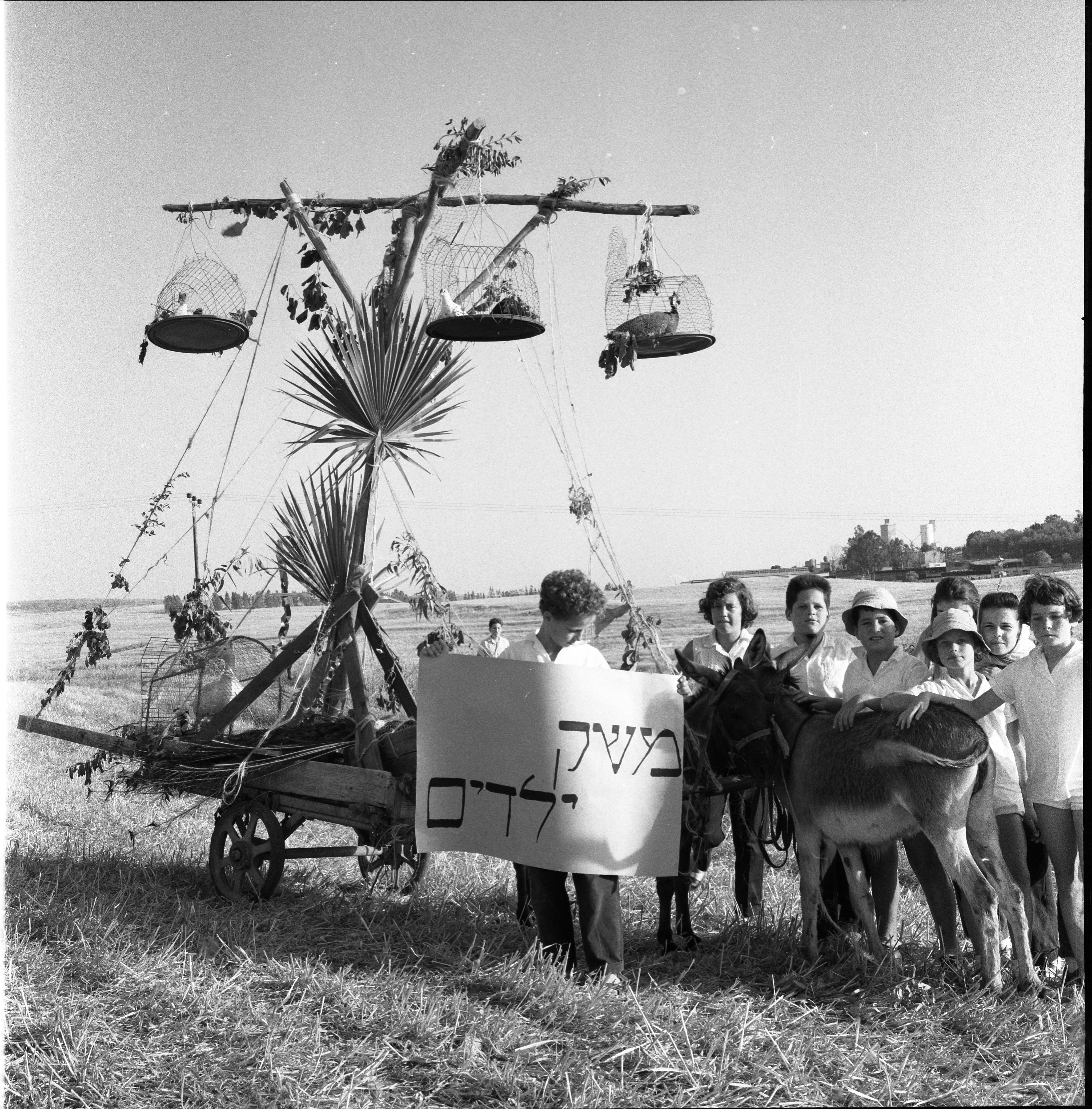  ביכורים; 1961