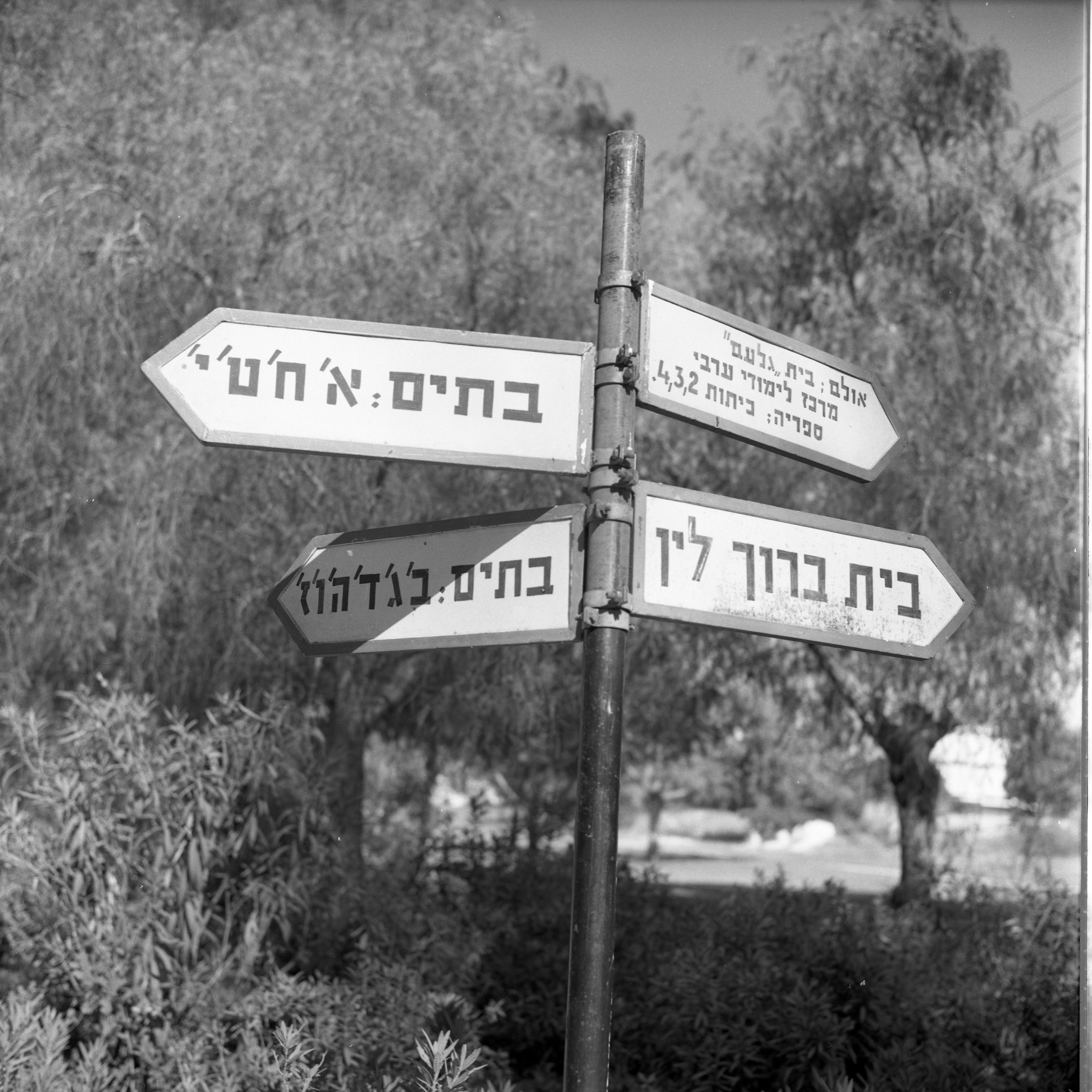  גבעת חביבה, אוגוסט; 1968