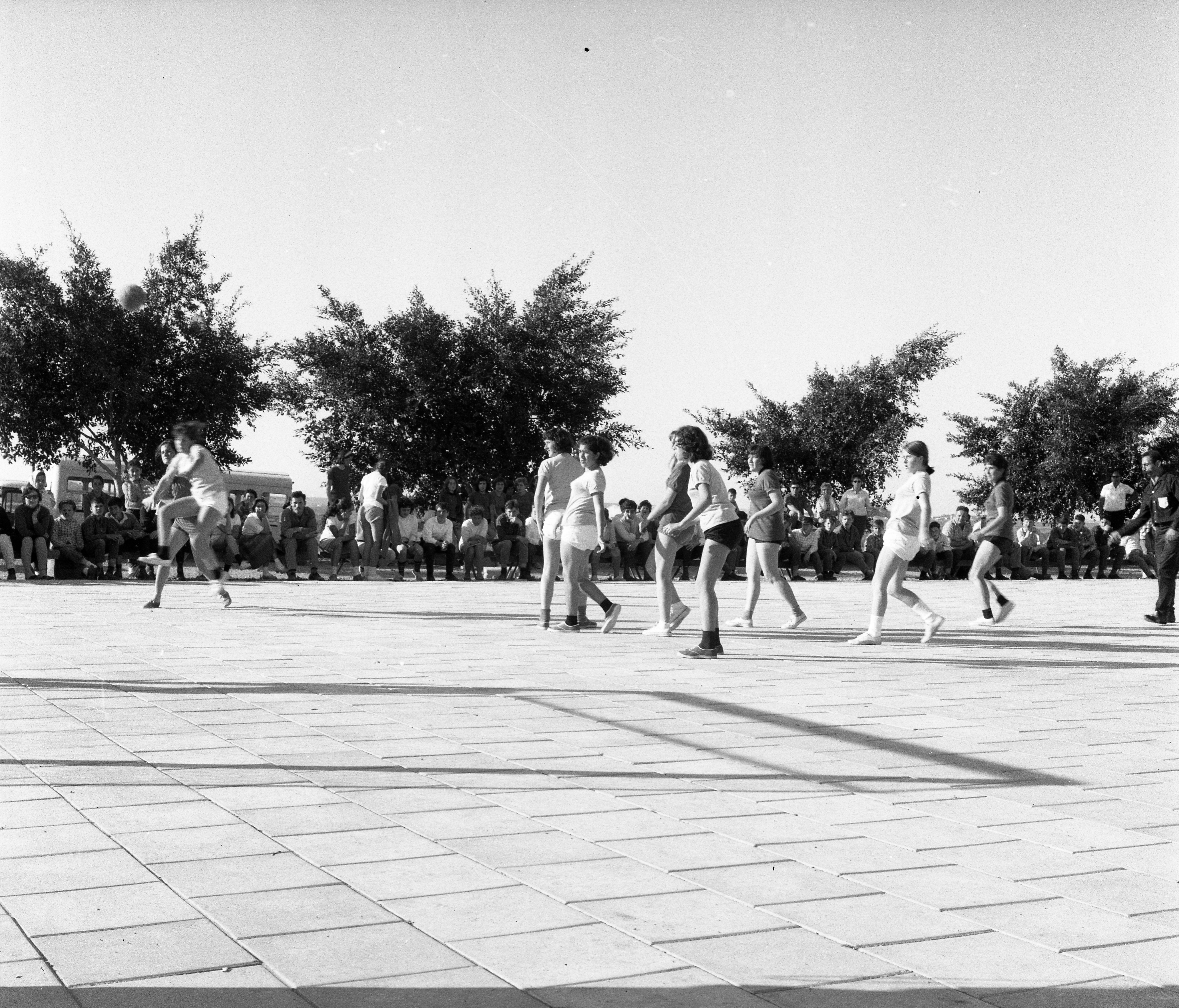  כדור יד ,טורניר; 1966