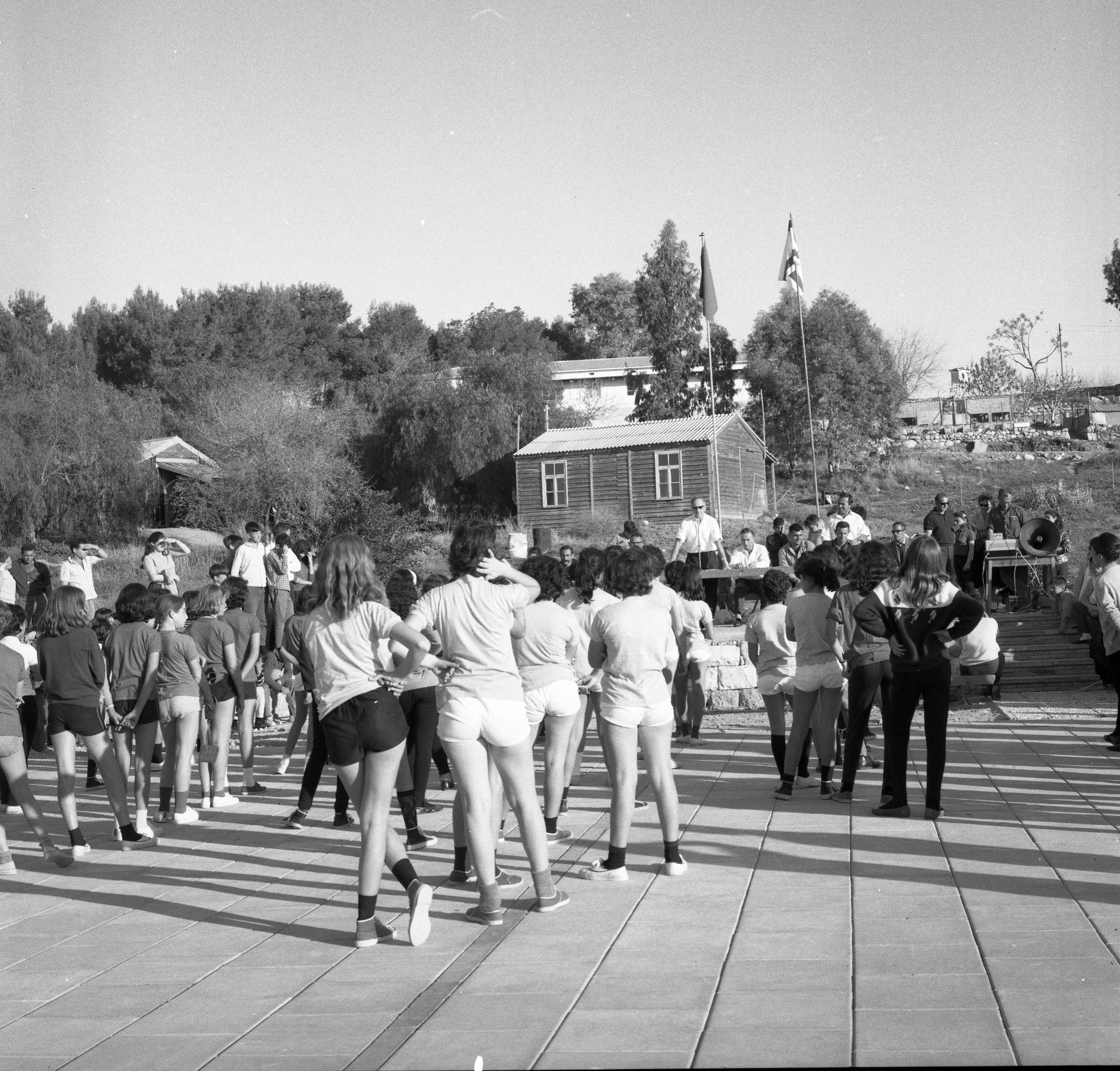  כדור יד ,טורניר; 1966