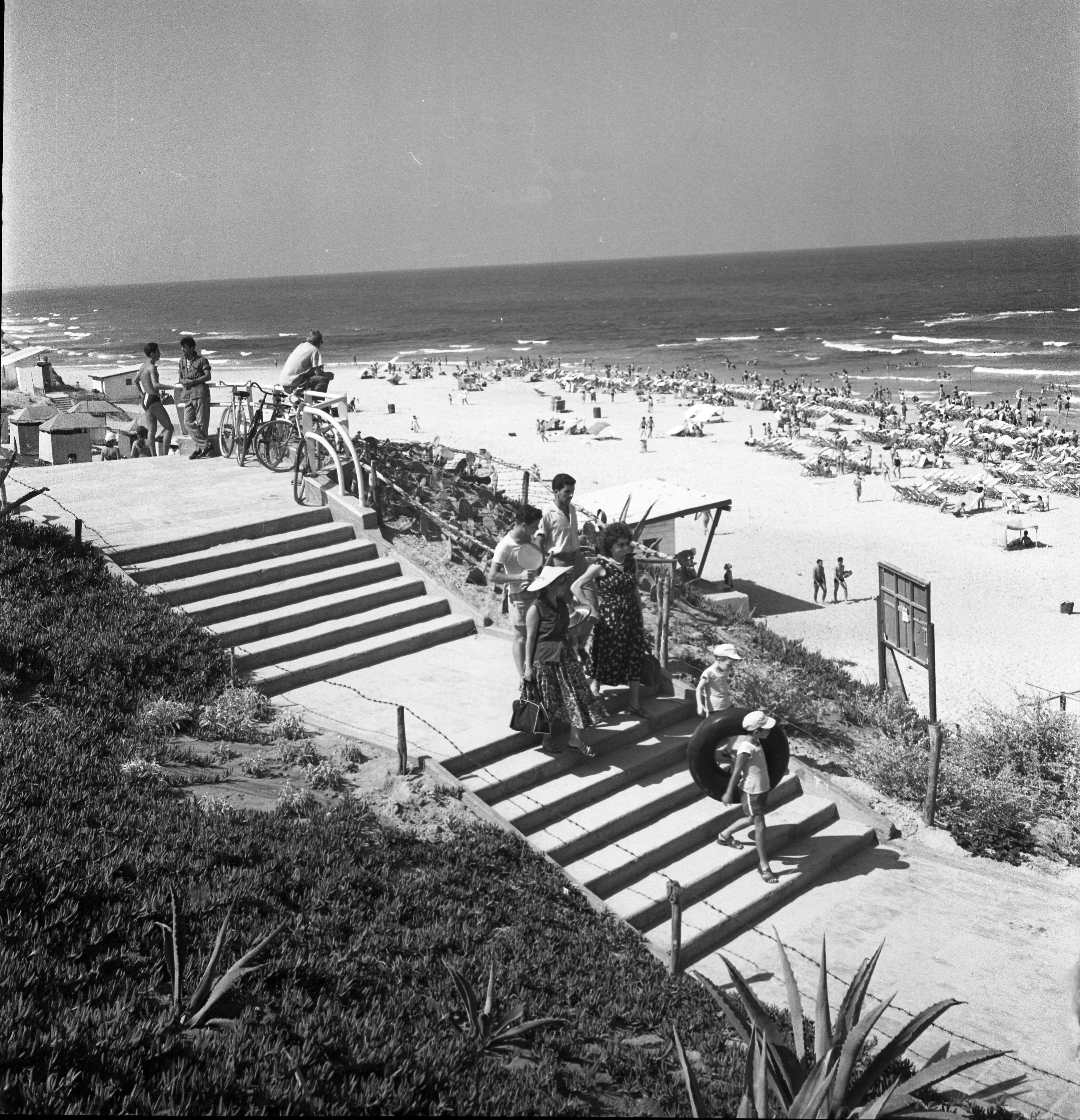  קייטנת ילדי כפר מנחם בחוף בת ים; 1957