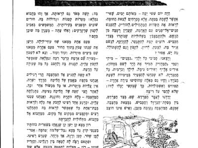 15939 -שרקה.jpg