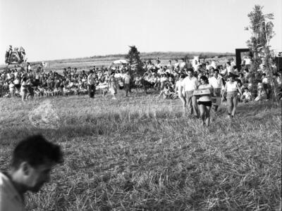  ביכורים; 1961