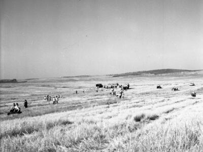  מפגן צניחה בשדות כפר מנחם; 1968