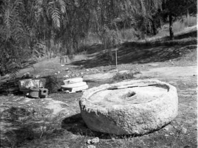  סקר ארכיאולוגי, יולי; 1960