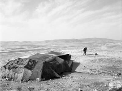  עם ציירי הקבה"א בעין- גדי ; 1964