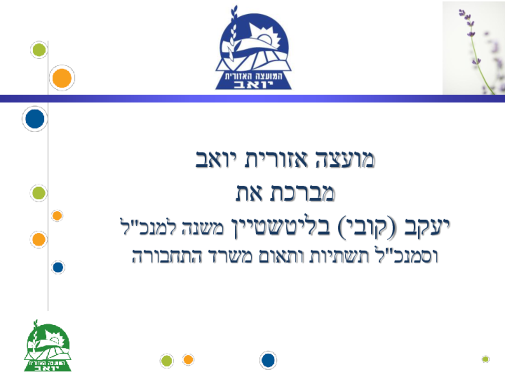 13310 -כביש 383 1.pdf