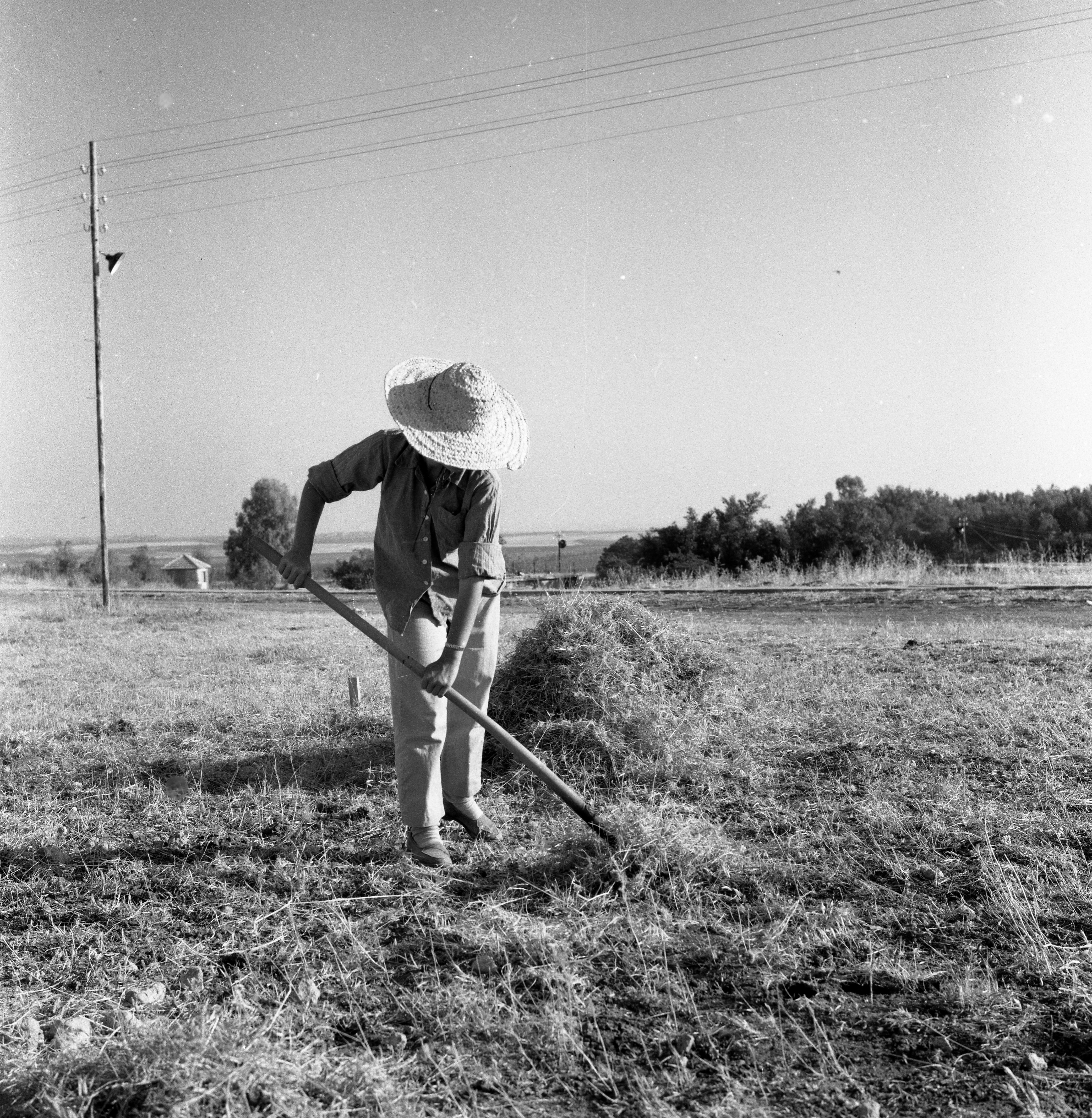  תחילת שנת הלימודים תשכ"ב; 1962