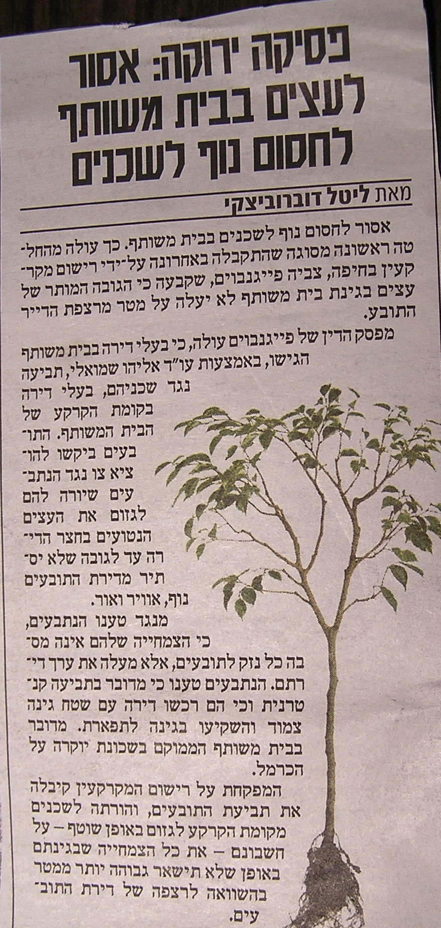 14560 -כתבה בית משותף.jpg