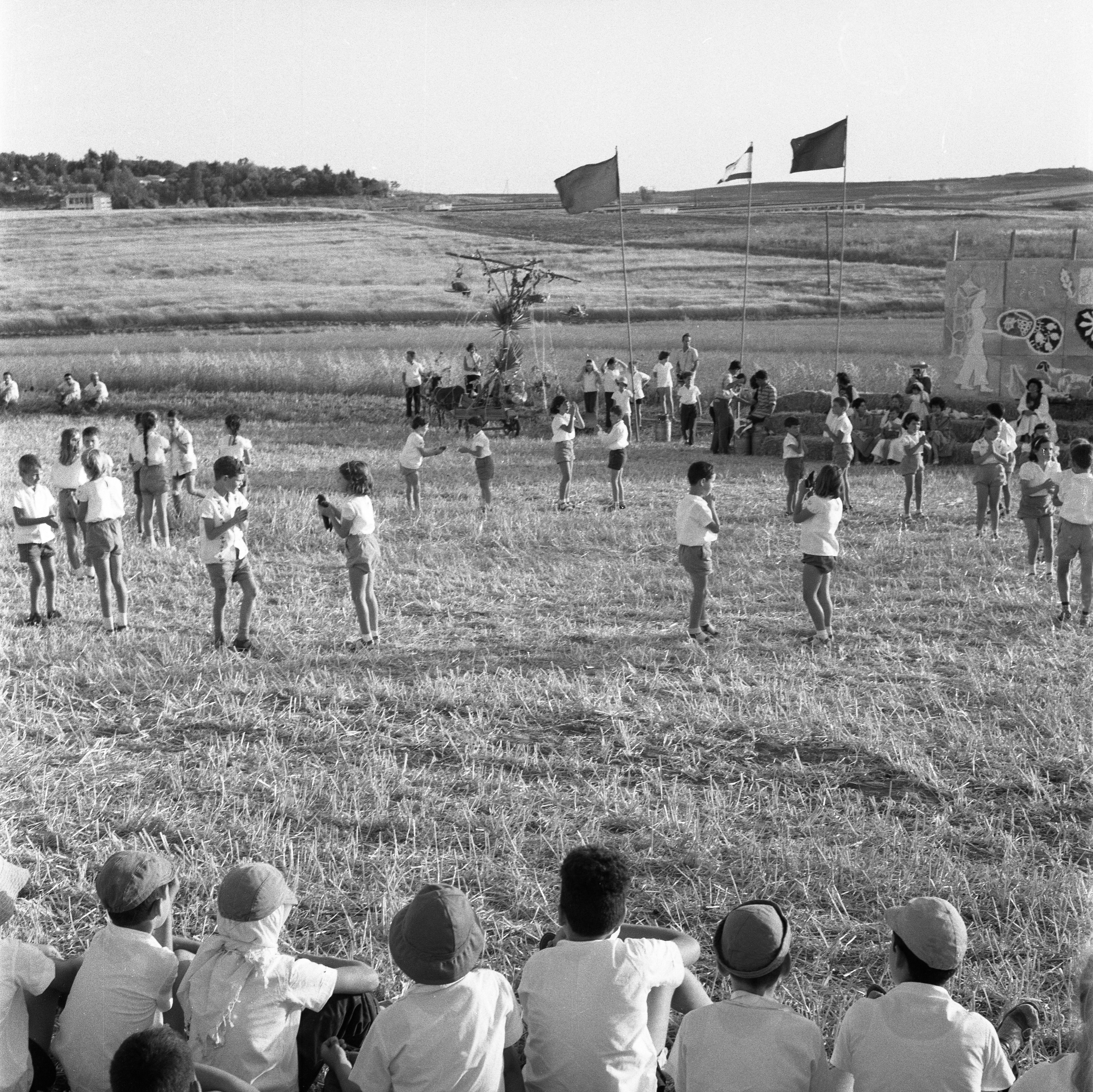  ביכורים; 1961