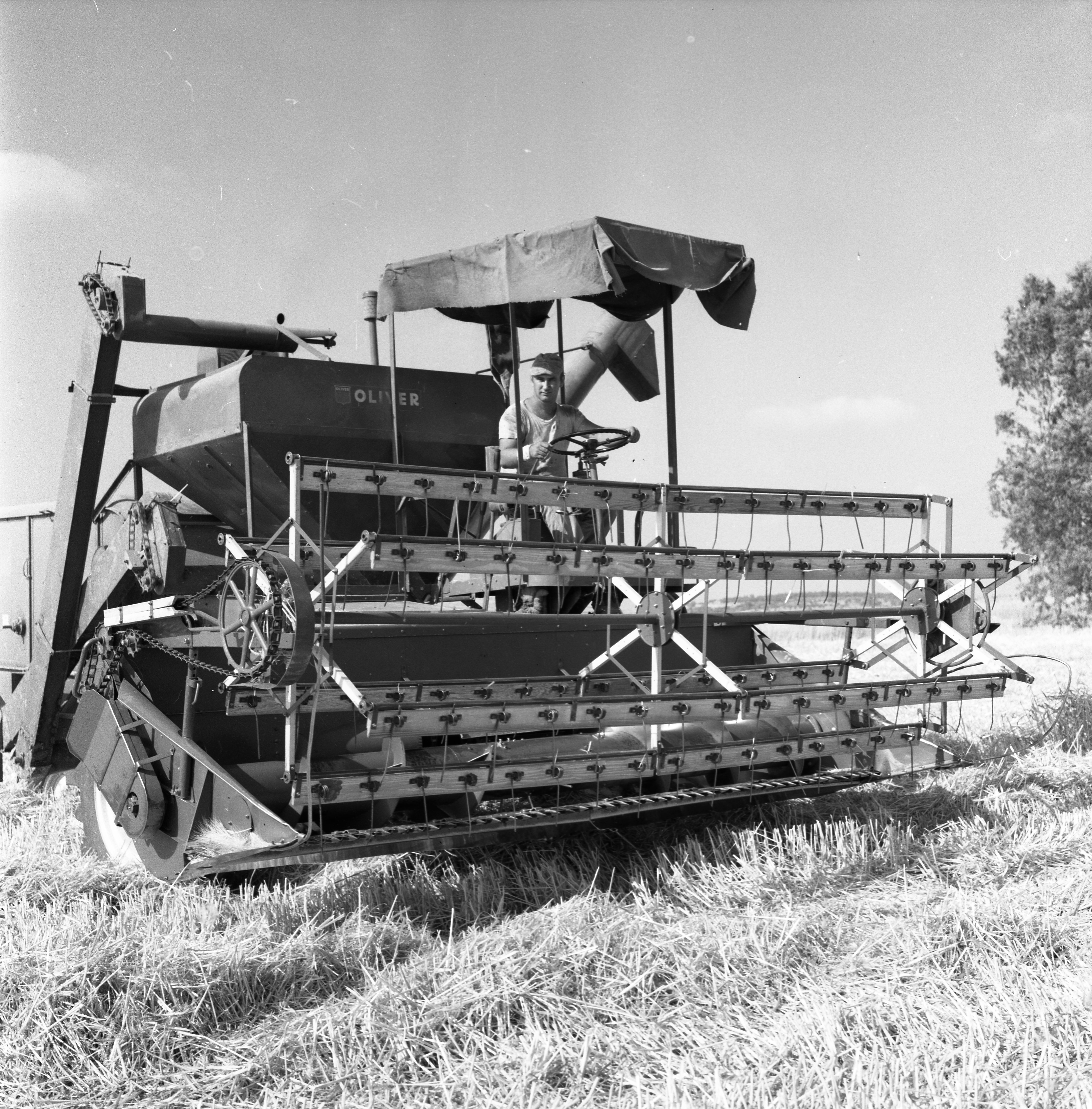  פלחה ; 1972