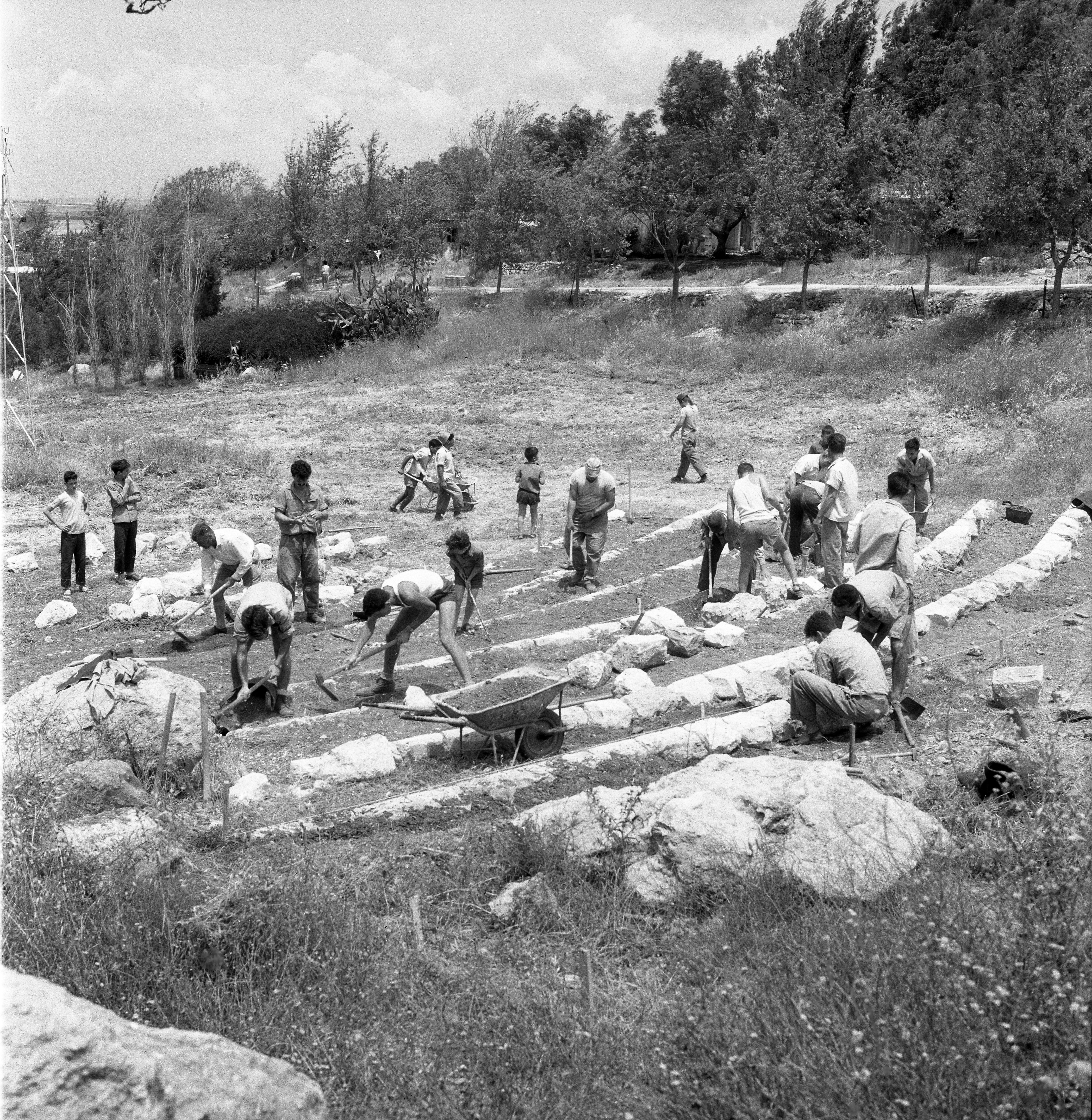  חברי החטיבה הצעירה בכפר מנחם גיוס להקמת אמפיתיאטר