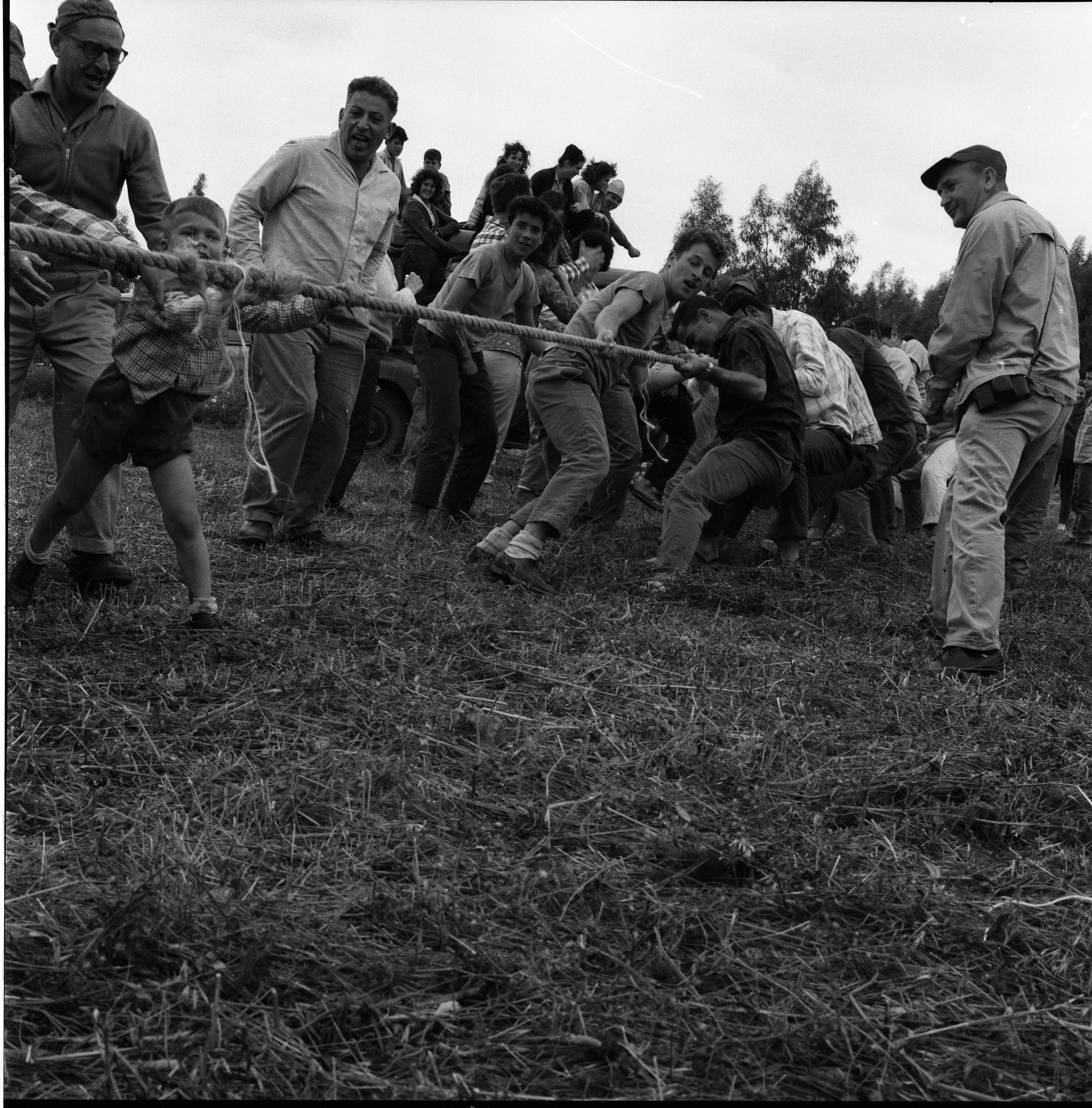  חגי עצמאות/ביכורים תשכ"ד; 1964