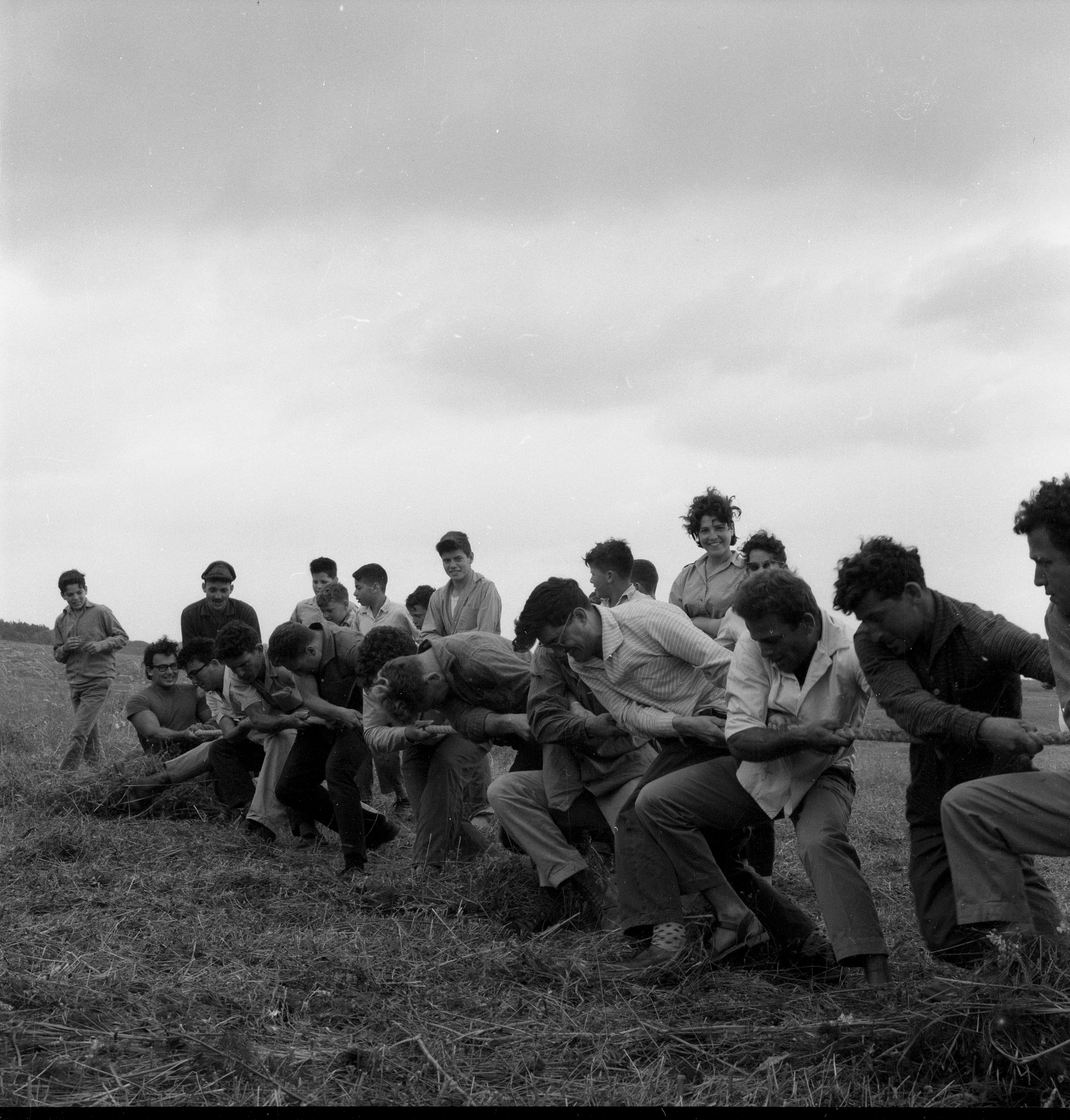  חגי עצמאות/ביכורים תשכ"ד; 1964