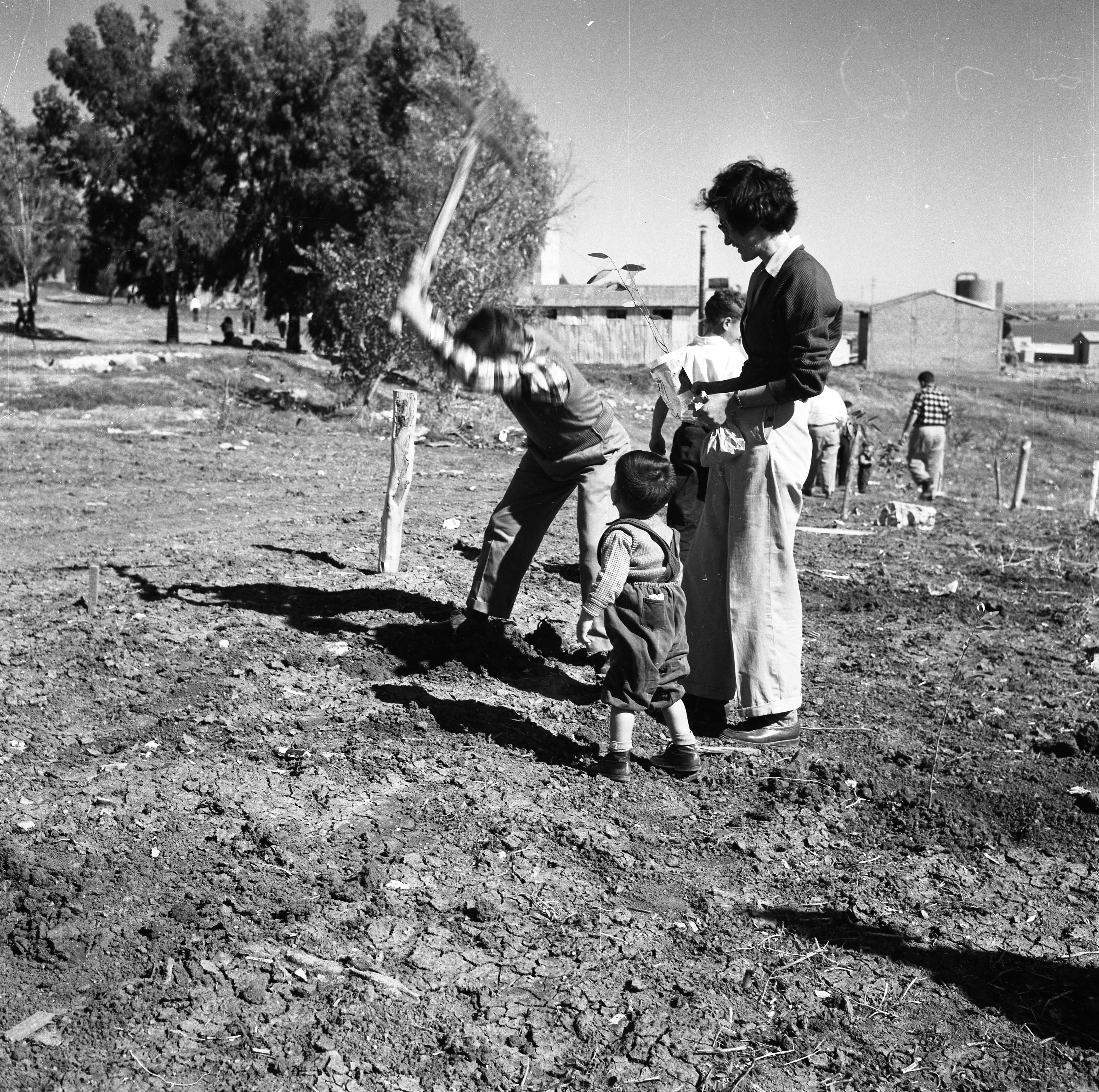  ט"ו בשבט; 1960