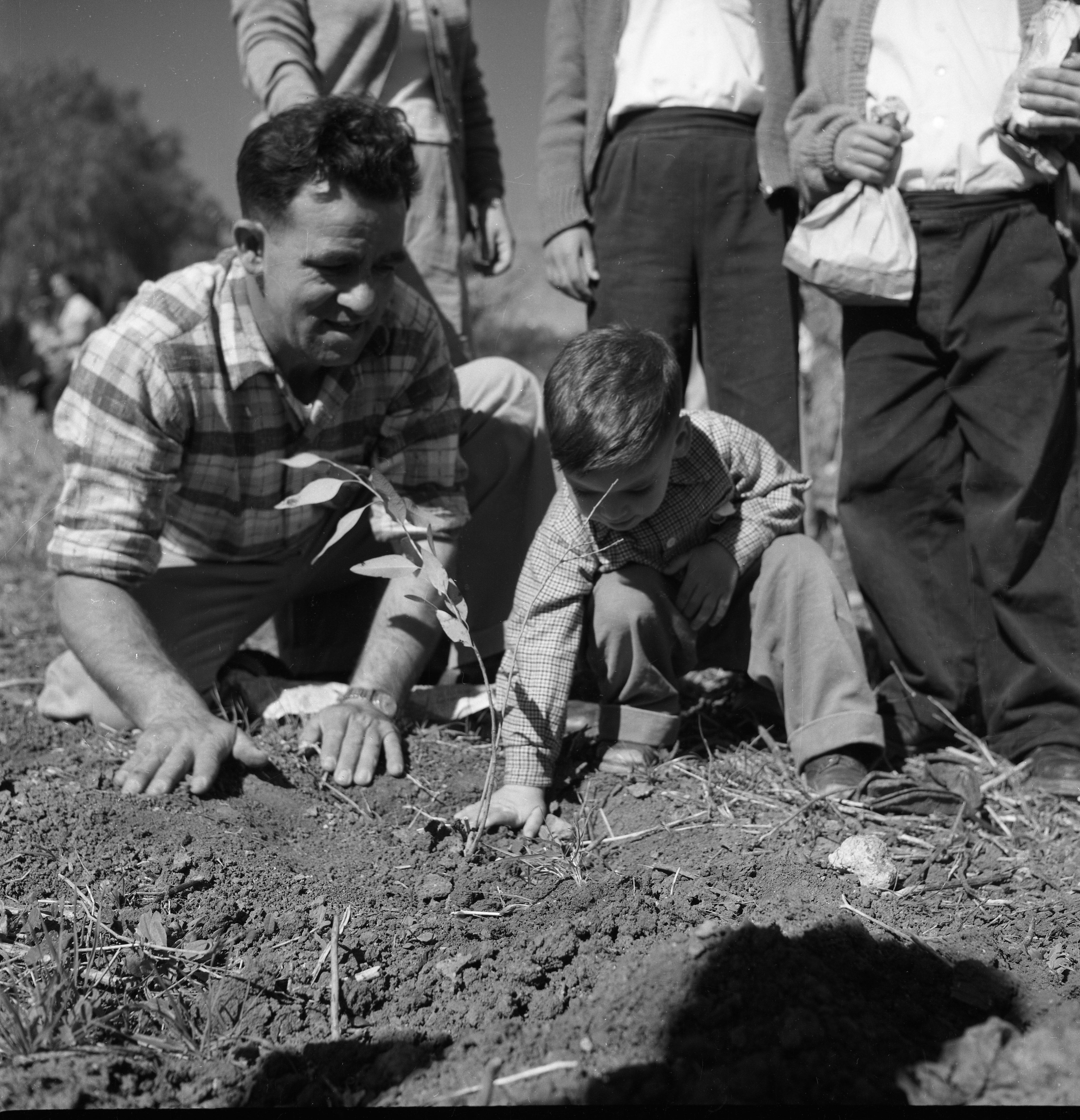  פנחס ועוזי כנעני ט"ו בשבט; 1960