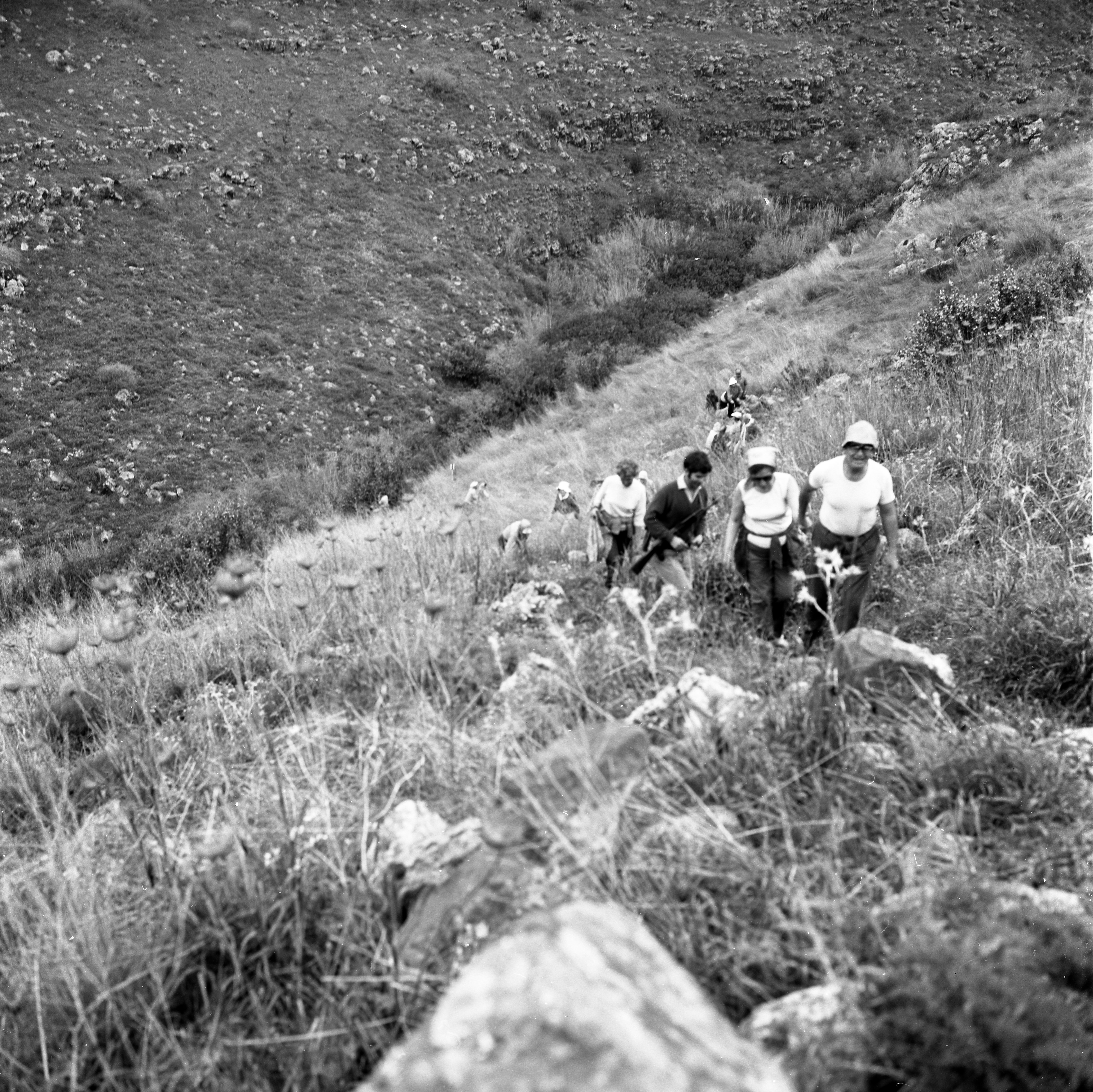  הטיול לרמת הגולן; 1973