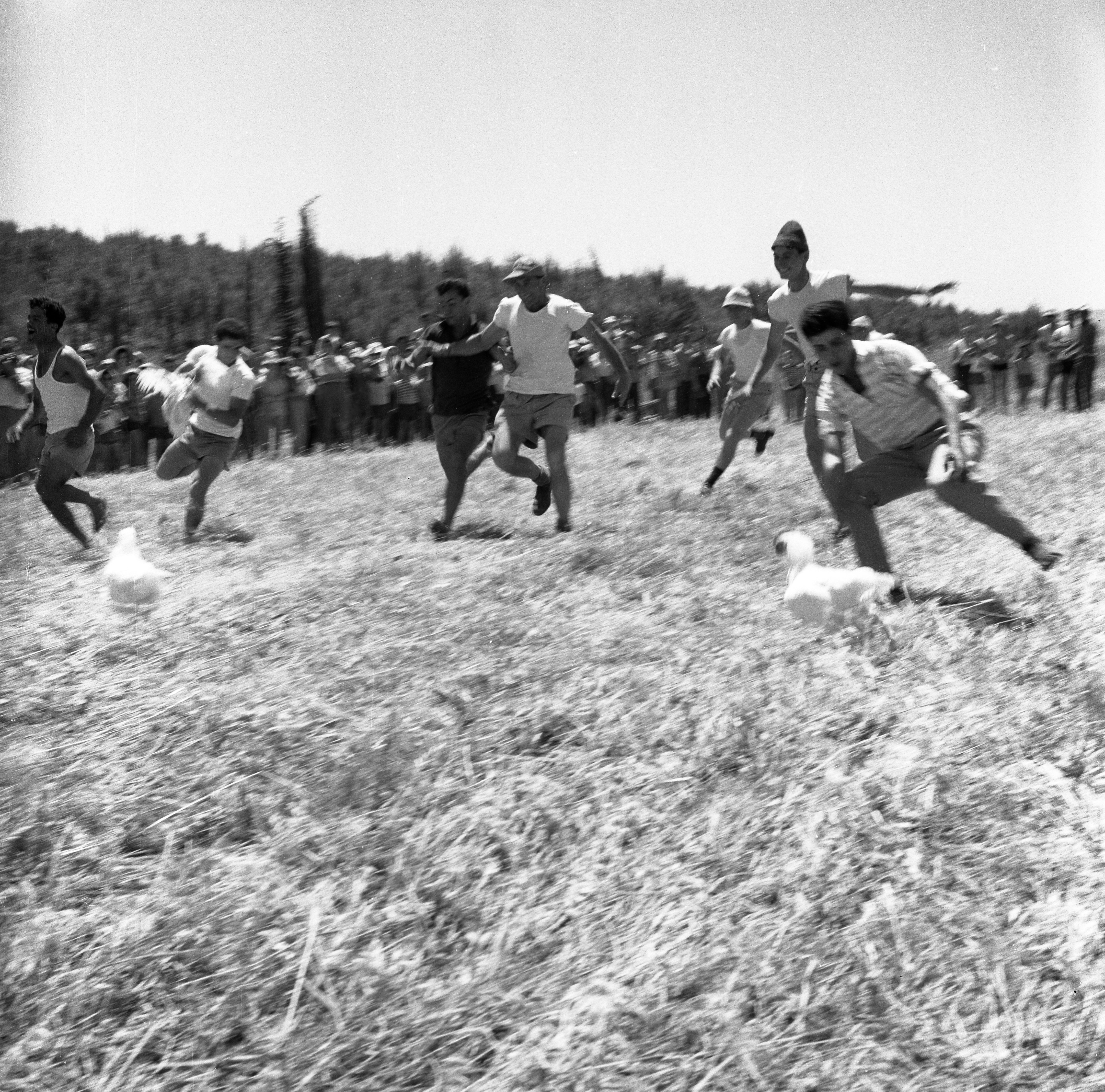  פיקניק בחג העצמאות ; 1961