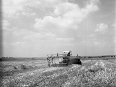  פלחה; 1972