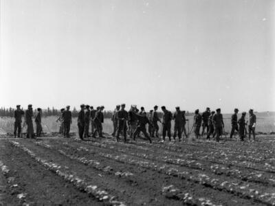  גיוס חיילים לעישוב כותנה; 1969