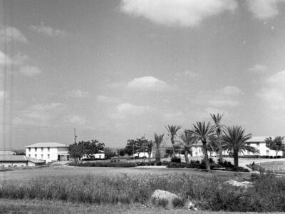  גן השבעה ; 1966