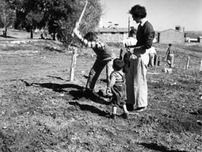  ט"ו בשבט; 1960