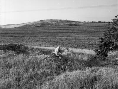  סקר ארכיאולוגי, יוני; 1960