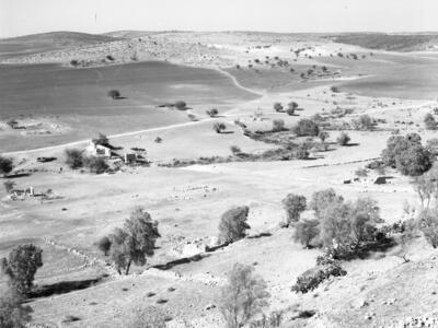  סקר ארכיאולוגי, יוני; 1960